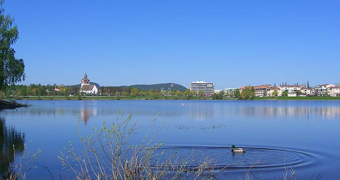 Vågen med en and i förgrunden och Bollnäs stadshus och kyrka i bakgrunden
