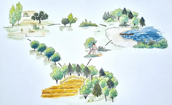 En illustration som visar kopplingar mellan olika grönområden.  Buskar, träd, parker, 
lekplatser eller trädalléer.