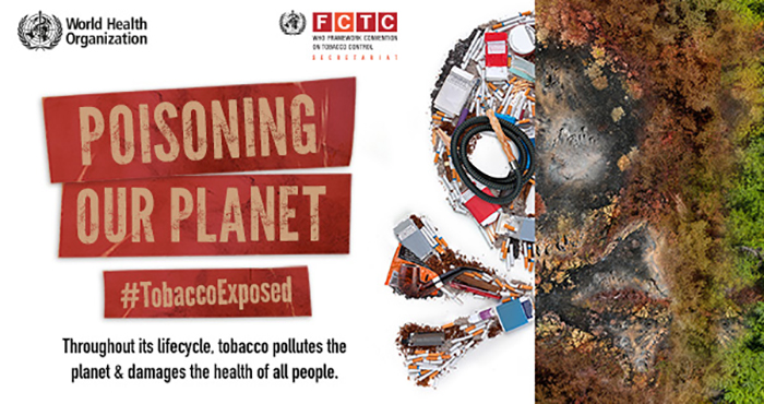 Kampanjjbild world no tobacco day som visar fimpar, dödskalle och skogsskövling