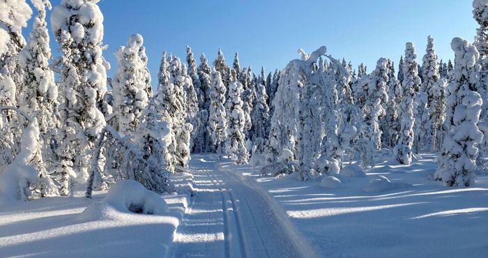 Vinterlandskap med skidspår i Acktjärbo. Foto: Henrik Einarsson.