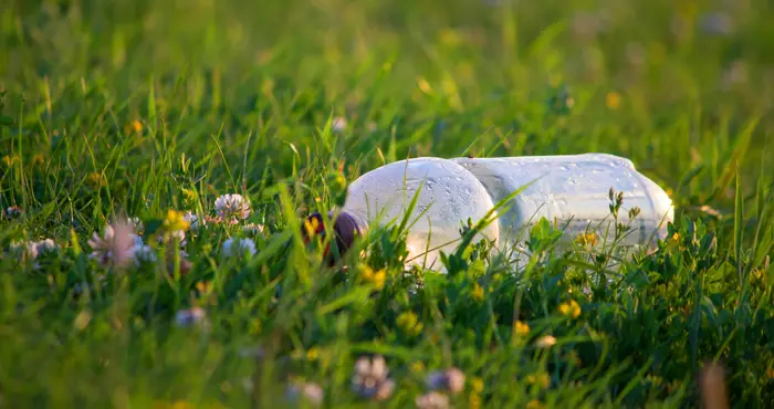 Plastflaska på gräsmatta med blommor.