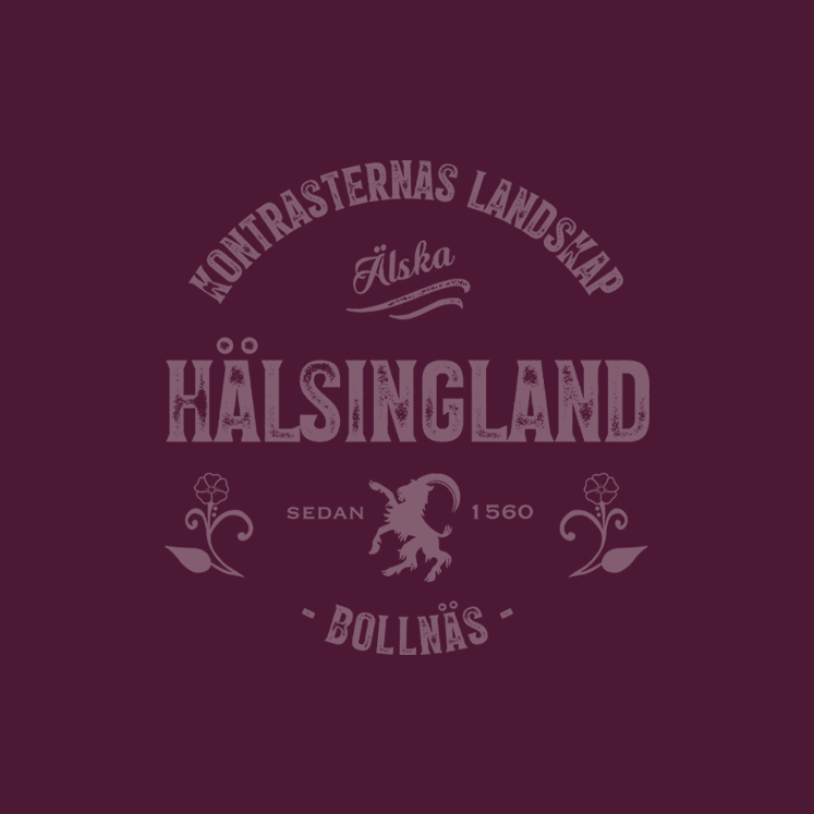 Logga Hälsingland - kontrasternas landskap