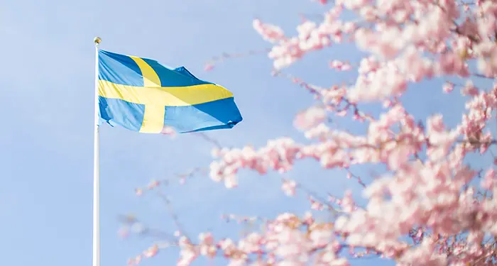 Sveriges flagga och körsbärsblommor.