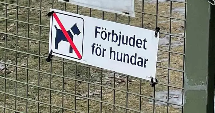 Skylt med texten: Förbjudet för hundar.