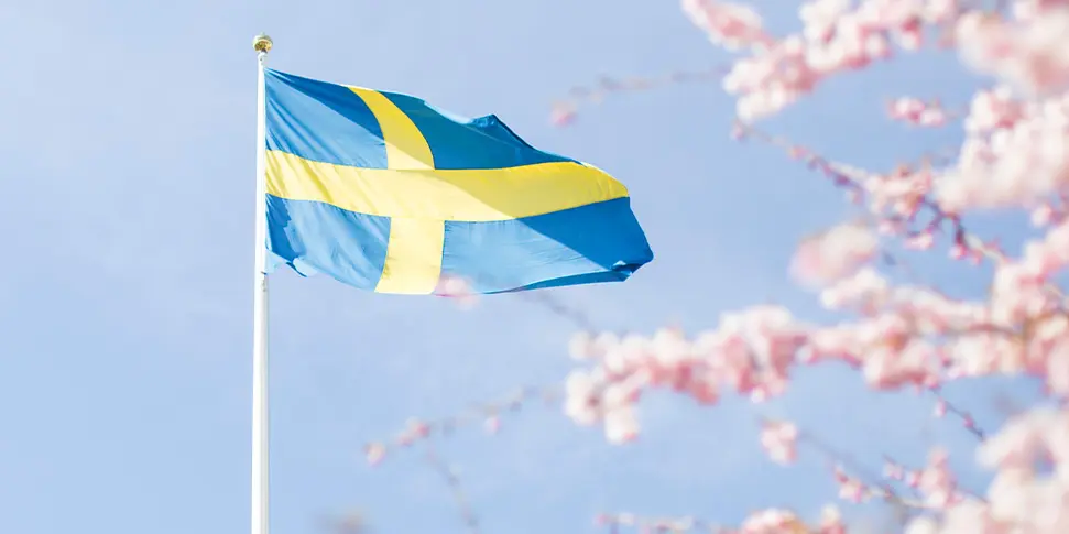Sveriges flagga blåser i vinden